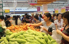 Thủ tướng ủng hộ Saigon Coop mua lại Big C