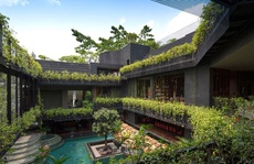 'Vườn bách thảo' trong ngôi nhà 4 tầng ở Singapore