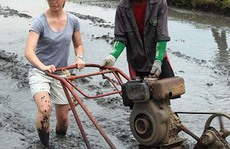 Kết nối sinh viên giúp nông hộ nhỏ giải quyết khó khăn