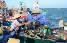 Phản đối tàu Trung Quốc cướp phá tàu cá Việt Nam