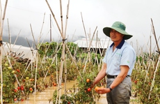 Thủy điện xả lũ, nhà vườn ở Lâm Đồng chới với