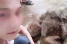 Thanh niên khoe 'chiến tích' giết khỉ dã man trên facebook