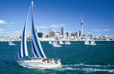 Auckland - bạc trắng những cánh buồm