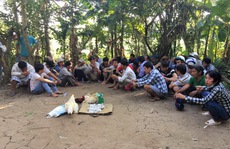 Tấn công trường gà