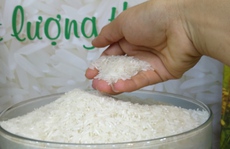 Trung Quốc giảm mua hơn 400.000 tấn gạo Việt