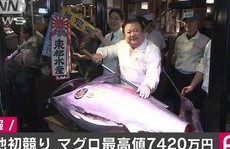 Cá ngừ 212 kg giá hơn 14 tỉ đồng