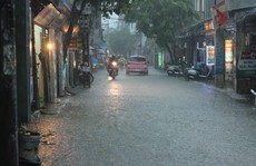 Sau đợt nắng nóng kỷ lục, Hà Nội mưa gió giông lốc đổ cây
