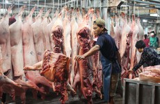 TP HCM quyết chặn thịt heo không rõ nguồn gốc