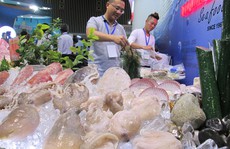 Đề nghị EU lùi xem xét thẻ vàng với hải sản Việt Nam