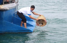 Ô nhiễm đe dọa Khu Bảo tồn biển Phú Quốc