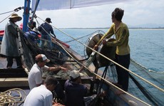 Làm khóm chà trên biển, mỏi tay bắt cá