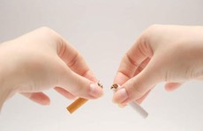 Gan thai nhi khó phát triển do thuốc lá