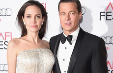 Angelina Jolie và Brad Pitt trì hoãn ly hôn