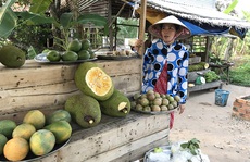 Thương lái giành giật nhau mua mít Thái