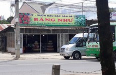 Trả lại 'đặc sản Đà Lạt', một du khách bị đánh ngất xỉu