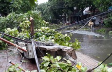 Bão số 2 vào đất liền: Cây đổ, mất điện, nhà tốc mái