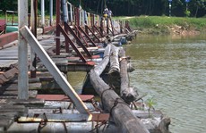 Đi đánh ghen, người đàn ông tử vong