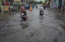 Xong dự án, vẫn ngập nặng!