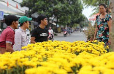 Nhộn nhịp chợ hoa Tết Sài Gòn