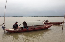 Theo chân ngư dân vào mùa săn cá ở ngã ba sông