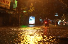 Bão số 14 gây mưa to gió lớn ở TP HCM