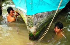 Gặp người 'sống dưới đáy sông' ở Cà Mau