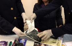 Giấu 4 gói cocaine trong hành lý khi bay từ Brazil về