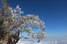 Nhiệt độ xuống -7 độ C, băng tuyết phủ trắng đỉnh Fansipan