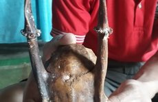 Nhặt được sừng lạ, trả hàng trăm triệu chưa bán