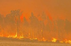 Úc nóng hừng hực, cháy rừng mù mịt