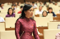 Bộ trưởng Nguyễn Thị Kim Tiến 'đăng đàn' trả lời chất vấn
