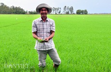 Anh nông dân có biệt tài nhìn trời đoán bệnh lúa