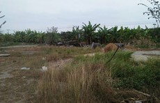 UBND xã “phớt lờ” chỉ đạo của tỉnh?