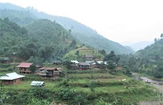 Đẩy lùi 'đẻ chòi'