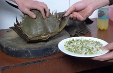 Ăn so biển, hai người suýt chết