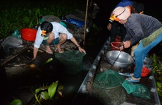 Phát thèm cá đồng ở chợ 'Âm phủ'