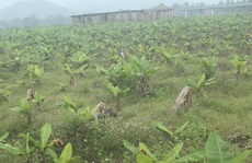 Dự án triệu đô làm khổ dân