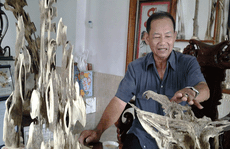 Người cấy trầm xuyên quốc gia