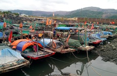 Hơn 5.000 khách du lịch mắc kẹt trên các đảo ở Quảng Ninh