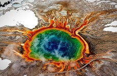 Bí mật chết chóc sau vẻ đẹp mê hồn của công viên Yellowstone