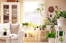 Cần lưu ý những gì khi trang trí nhà dịp Tết?