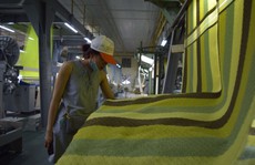 Phong Phú đưa ra thị trường khăn bông hữu cơ organic