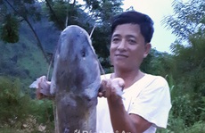Đổi đời nhờ săn cá ở Bản Vẽ