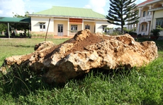 Bàn giao tảng đá bán quý 20 tấn về khu dự trữ sinh quyển Langbiang