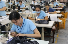 Họ không phải là cỗ máy