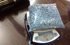 26.700 viên ma túy tổng hợp từ Hà Lan chuyển phát nhanh về Việt Nam