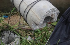 Gần 1.900 trụ điện gãy đôi trong bão 12
