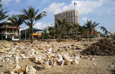 Thanh Hóa: Sau 3 ngày, thiệt hại do bão giảm gần 300 tỉ đồng