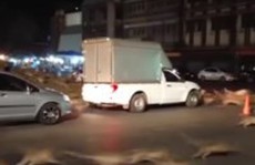 Hàng trăm con khỉ tấn công đường phố, gây náo loạn