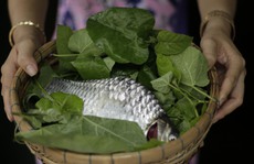 Chết thèm với loài rau lạ ở vùng biên